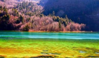 九寨沟旅游景点介绍？九寨沟旅游景点介绍作文？