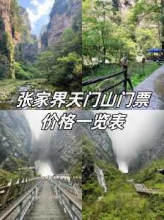 张家界旅游订票官方网站，张家界网上订票官方网站景点门票