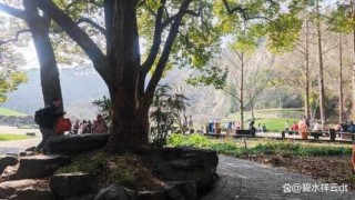 上海辰山植物园图片，上海辰山植物园图片怎么画