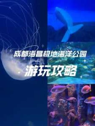 成都海洋公园门票费用，成都海洋公园门票费用是多少？