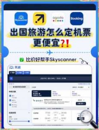 天巡网订机票官方网站首页，天巡网是哪个国家的