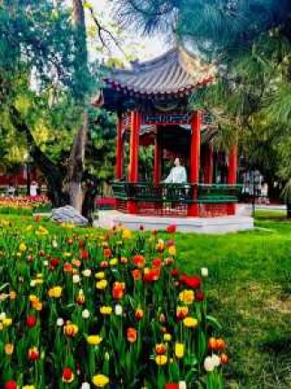 北京中山公园门票多少钱，北京中山公园 门票