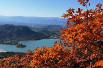 蟒山国家森林公园电话？蟒山国家森林公园电话询问？