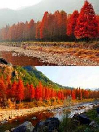上海附近旅游景点排名，上海附近旅游攻略？