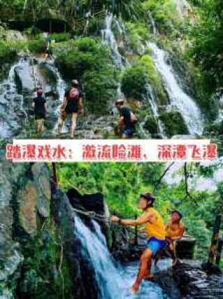 呀诺达热带雨林门票，呀诺达热带雨林门票团购
