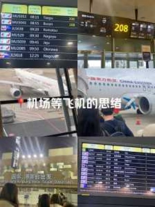 上海浦东世界机场官方网站，上海浦东世界机场官方网站航班