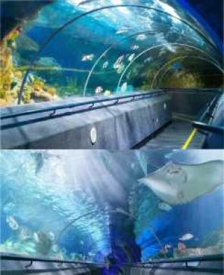 大连圣亚海洋世界图片，大连圣亚海洋世界图片介绍？