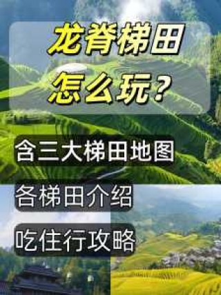 广西龙脊梯田在哪里，广西龙脊梯田在什么县?？