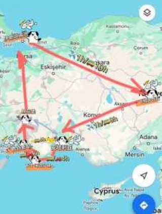 去土耳其旅游多少钱？想去土耳其旅游？