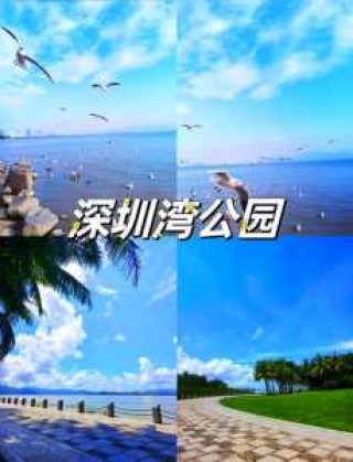 深圳名胜古迹旅游景点？深圳名胜古迹旅游景点介绍？