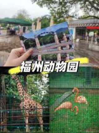 福州动物园门票多少钱，福州动物园门票多少钱2023
