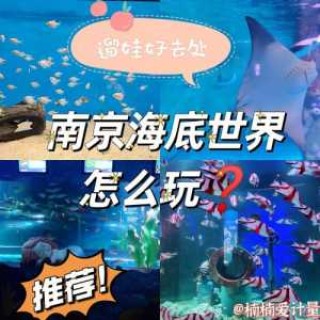 南京海底世界游玩攻略，南京海底世界门票费用多少