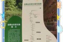 重庆金佛山旅游攻略一日游？重庆金佛山旅游路线？