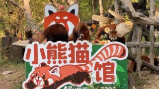 广州动物园海洋馆门票多少钱，广州动物园海洋馆2021