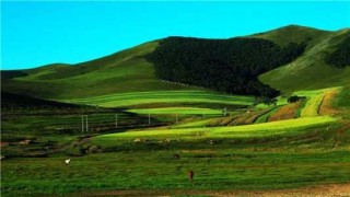 张家口坝上草原攻略？张家口坝上大草原？