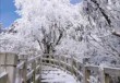 西岭雪山攻略两日游？西岭雪山攻略两日游多少钱？