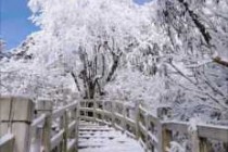 西岭雪山攻略两日游？西岭雪山攻略两日游多少钱？