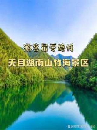 南山竹海门票多少钱一张？南山竹海门票免费吗？