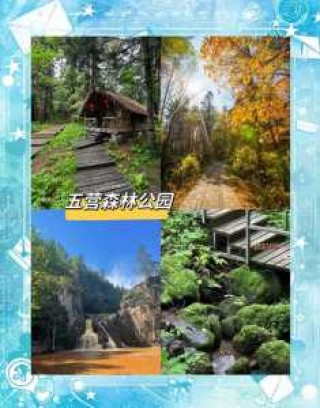 黑龙江伊春旅游攻略景点必去，黑龙江伊春旅游攻略景点必去五大连池