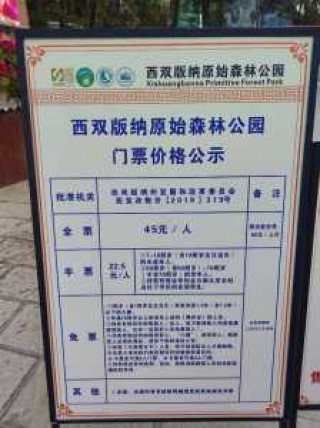 西双版纳原始森林公园门票，西双版纳原始森林公园门票60岁有优惠吗？