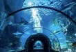 泉城海洋极地世界，泉城海洋极地世界门票优惠政策