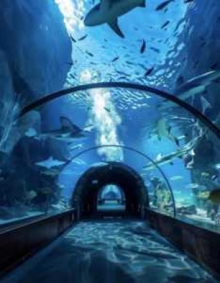 泉城海洋极地世界，泉城海洋极地世界门票优惠政策