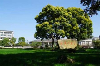 浙江旅游职业学院，浙江旅游职业学院招聘