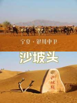 沙坡头景区图片？沙坡头景区图片有哪些项目？