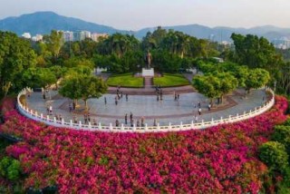 深圳旅游景点大全介绍一日游？深圳旅游景点大全集？