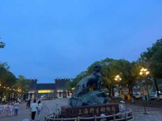 上海野生动物园图片？上海野生动物园图片高清大图大全集？