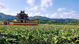 宁德有什么好玩的景点，宁德旅游必去前十景点