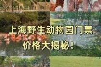 上海野生动物园门票预订？上海野生动物园门票预订官方网站？