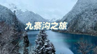 九寨沟一日游当地跟团，九寨沟旅游攻略跟团