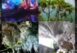 阳春旅游景点大全介绍，阳春旅游景点大全介绍一览？