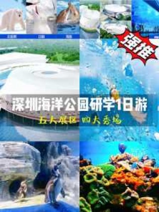 海洋馆门票多少钱，沈阳海洋馆门票多少钱