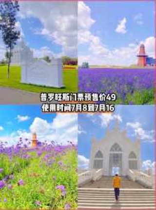 哈尔滨普罗旺斯薰衣草庄园门票？去哈尔滨普罗旺斯薰衣草庄园坐几路公交车？