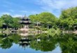 杭州西溪湿地公园图片，杭州西溪湿地公园门票费用多少