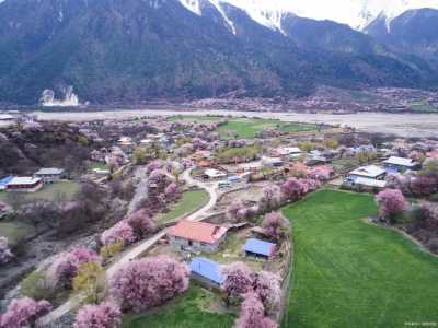 林芝旅游景点攻略,林芝旅游景点攻略自由行 第3张 林芝旅游景点攻略,林芝旅游景点攻略自由行 第3张