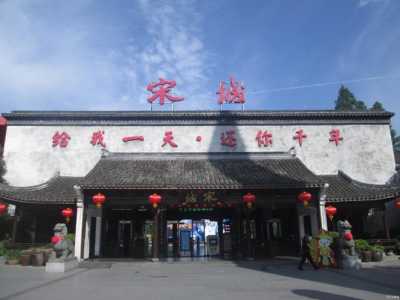 杭州宋城游玩攻略,杭州宋城游玩攻略里面有什么好玩的 第4张 杭州宋城游玩攻略,杭州宋城游玩攻略里面有什么好玩的 第4张