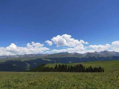 伊犁旅游必去的几个景点,伊犁旅游必去的几个景点是 第6张 伊犁旅游必去的几个景点,伊犁旅游必去的几个景点是 第6张