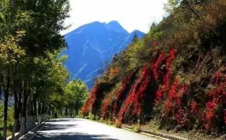 延庆旅游景点自驾游,延庆旅游景点自驾游攻略 第1张 延庆旅游景点自驾游,延庆旅游景点自驾游攻略 第1张