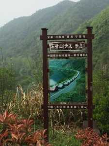 黄山旅游攻略二日游？安徽黄山旅游攻略二日游？  第4张