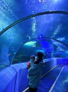 青岛极地海洋4馆哪个好玩?青岛极地海洋4馆攻略? 第1张 青岛极地海洋4馆哪个好玩?青岛极地海洋4馆攻略? 第1张
