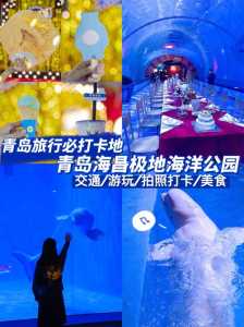 青岛极地海洋4馆哪个好玩?青岛极地海洋4馆攻略? 第3张 青岛极地海洋4馆哪个好玩?青岛极地海洋4馆攻略? 第3张