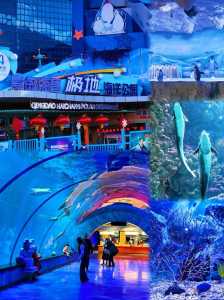 青岛极地海洋4馆哪个好玩?青岛极地海洋4馆攻略? 第4张 青岛极地海洋4馆哪个好玩?青岛极地海洋4馆攻略? 第4张