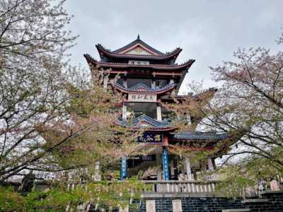 无锡好玩的景点,无锡好玩的景点有哪些地方免费 第2张 无锡好玩的景点,无锡好玩的景点有哪些地方免费 第2张