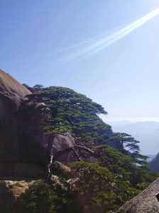 黄山旅游攻略三日游自由行攻略,安徽黄山旅游攻略三日游自由行攻略 第2张 黄山旅游攻略三日游自由行攻略,安徽黄山旅游攻略三日游自由行攻略 第2张