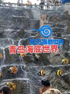 青岛极地海洋馆,海洋极地海洋世界门票 第3张 青岛极地海洋馆,海洋极地海洋世界门票 第3张
