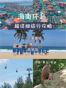 三亚南湾猴岛简介,三亚的南湾猴岛 第5张 三亚南湾猴岛简介,三亚的南湾猴岛 第5张