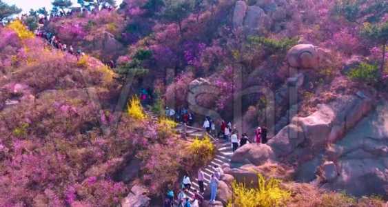 大珠山门票现在多少钱,大珠山的门票多少钱? 第1张 大珠山门票现在多少钱,大珠山的门票多少钱? 第1张